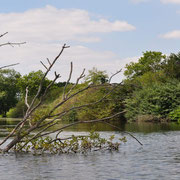 Les étangs Frise Camping pêche Somme