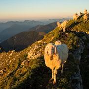 Sunset at Scharfreiter N°3, Karwendel | © Bernhard Thum, ID-Nummer GS-04-2015-008