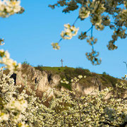 Rodenstein mit Kirschblüte, Walberla | © Bernhard Thum, Bild-ID WI-04-2014-002