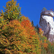 Rabenfels mit Herbstwald | © Bernhard Thum, ID-Nummer HE-XX-20XX-002