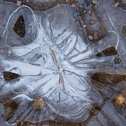 Frozen puddle N°2, Winter in den Bayer. Voralpen | © Bernhard Thum, ID-Nummer GW-04-2015-004