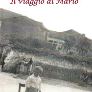 Il Viaggio di Mario, un romanzo di Maria Giovanna Natillo