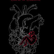 Hollow cuore di cristallo, un romanzo di Angelo Pio Cassella
