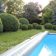 Buchslandschaft Himberg als Poolumrahmung