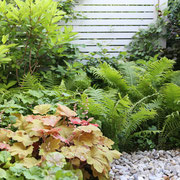 Gestaltung Schattenbeet mit Farn und Heuchera