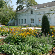 Gartengestaltung Residenz Baden Staudenbeete Sommer