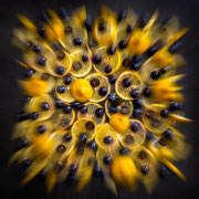 Yellow abyss - série limitée à 5 tirages