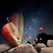 Pomme de Newton - série limitée à 5 tirages