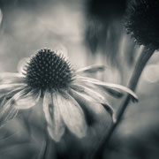 Vintage Look