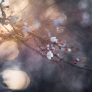 Licht und Schatten