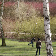 Ball spielen zwischen den Birken im März, die Äste der Sträucher im Hintergrund sind rot und grün. Foto: Helga Karl