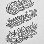 STYLES OF LEARDS, pencil on paper