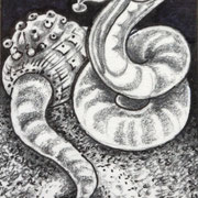 WORMS OF ALDABARAN, pencil on paper