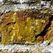 Einzelner Ziegel der Berndorfer Kirche 3/14