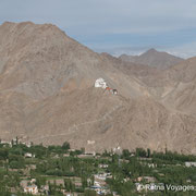 View from Shanti Stupa at Tsemo Gompa