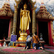 Green-Mango Bangkok Touren: Wat Bang Phli Yai Klang