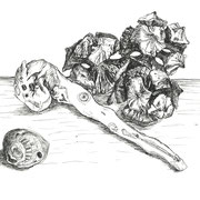 Tuscher auf Papier