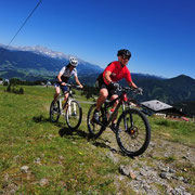 Mountainbiken Sommer in Flachau