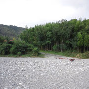 川辺から竹林を望む、あの道を上って家に帰りました、川で遊んだ後