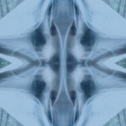METAMORPHOSIS 5