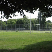 Rugbyfeld