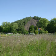 OSTRICOURT