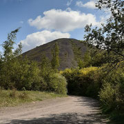 HAILLICOURT 