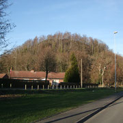 ANZIN 