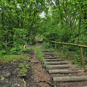 LEFOREST