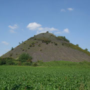 ESCAUDAIN 