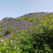ESTEVELLES