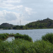 RIEULAY 