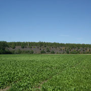 MARCHIENNES/FLINES-LEZ-RACHES 