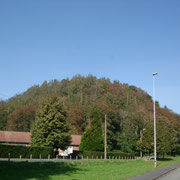 ANZIN 