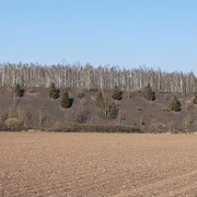 MARCHIENNES/FLINES-LEZ-RACHES 