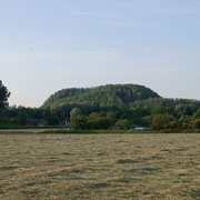 ROOST-WARENDIN