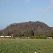 ROOST-WARENDIN 