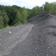 WALLERS-ARENBERG