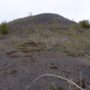 NOEUX-LES-MINES 