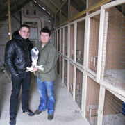  Ivica mit einer Zuchttäubin, links Kesic-rechts Ivica,  F:Nawrotzky