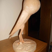 Ein Jahrhundert-Wunder, F:Nawrotzky
