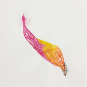 Alien, Aquarellfarbe auf Papier, 24 x 32 cm, Susanne Renner-Schulz, 2020