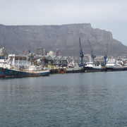 Blick in den Fischereihafen Kapstadts
