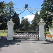 Queen Elizabeth Park in Masterton