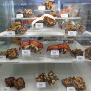 Ausstellung praemierter Kuchen auf der Easter Show