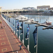 Darling Harbour IV
