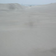 Duene von Cape Farewell Spit