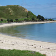 Strandblick zwischen Thames und Auckland