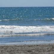 Strandfoto am Strand von Otaki (Otaki Beach/Westkueste)