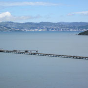 Blick in die Bucht von Wellington von Sabines Haus